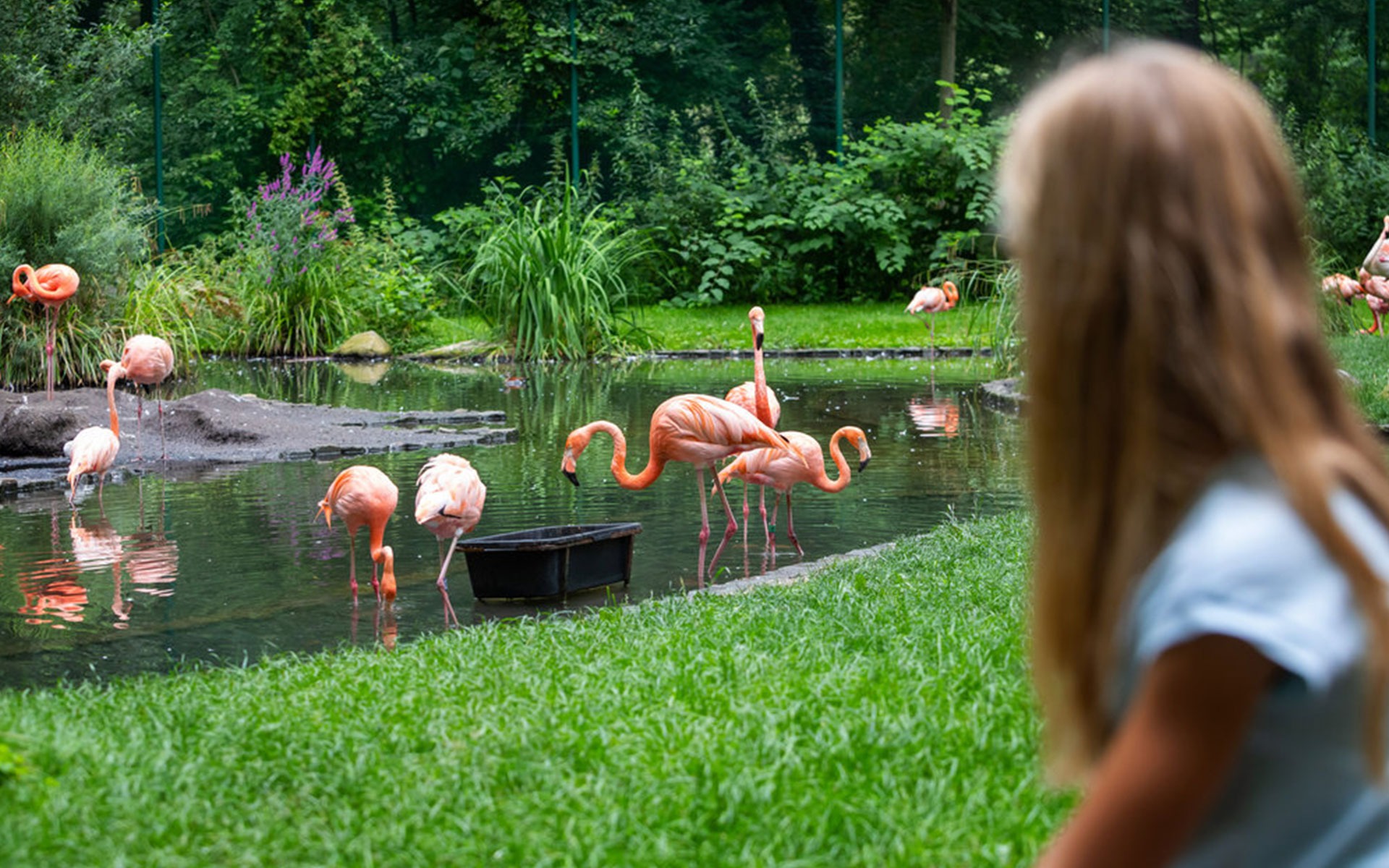 Spreewaldchalet - Ausflüge - Tierpark Cottbus